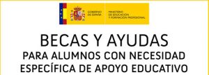 Becas NECESIDADES EDUCATIVAS ESPECIALES 26-27